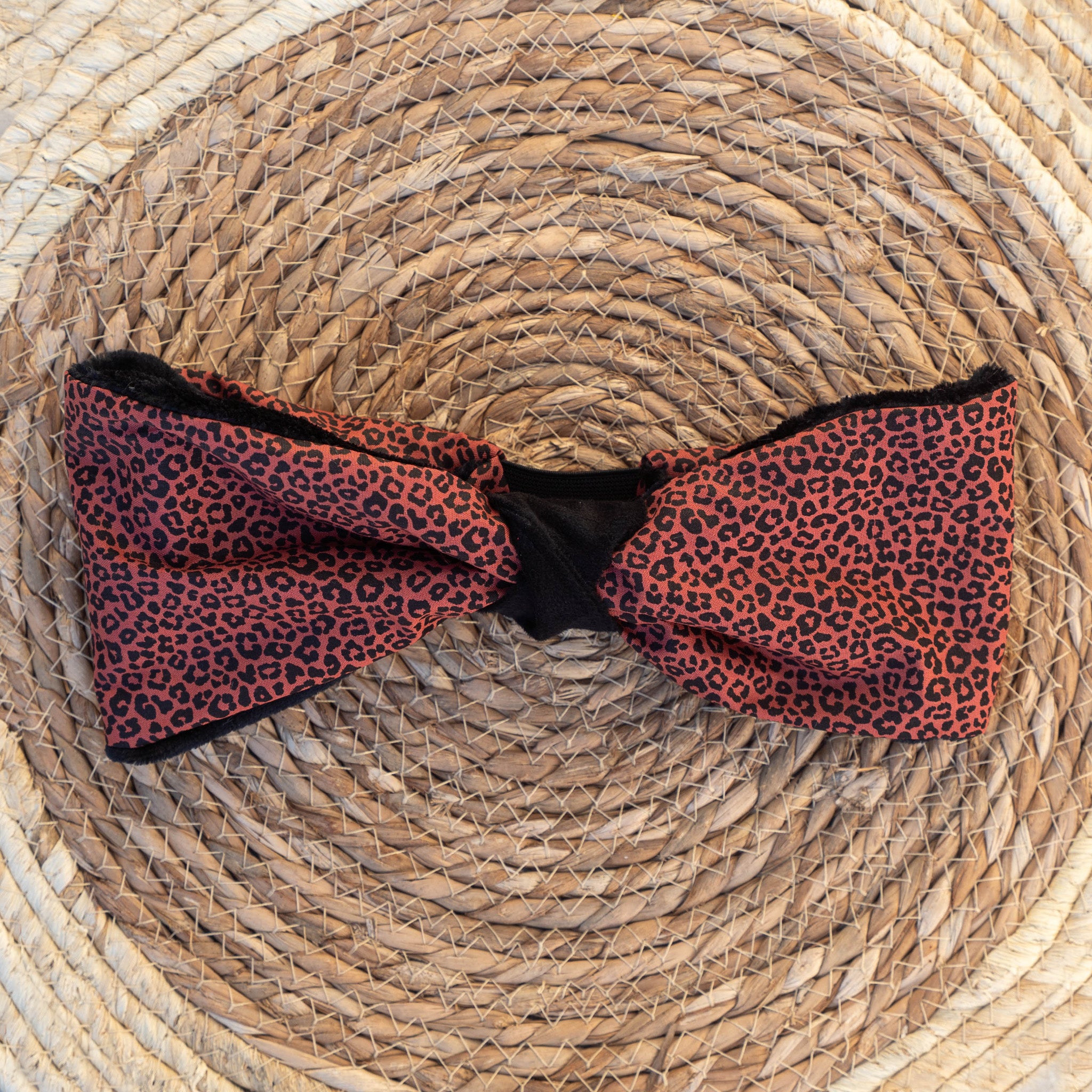 Bandeau polaire Septaria