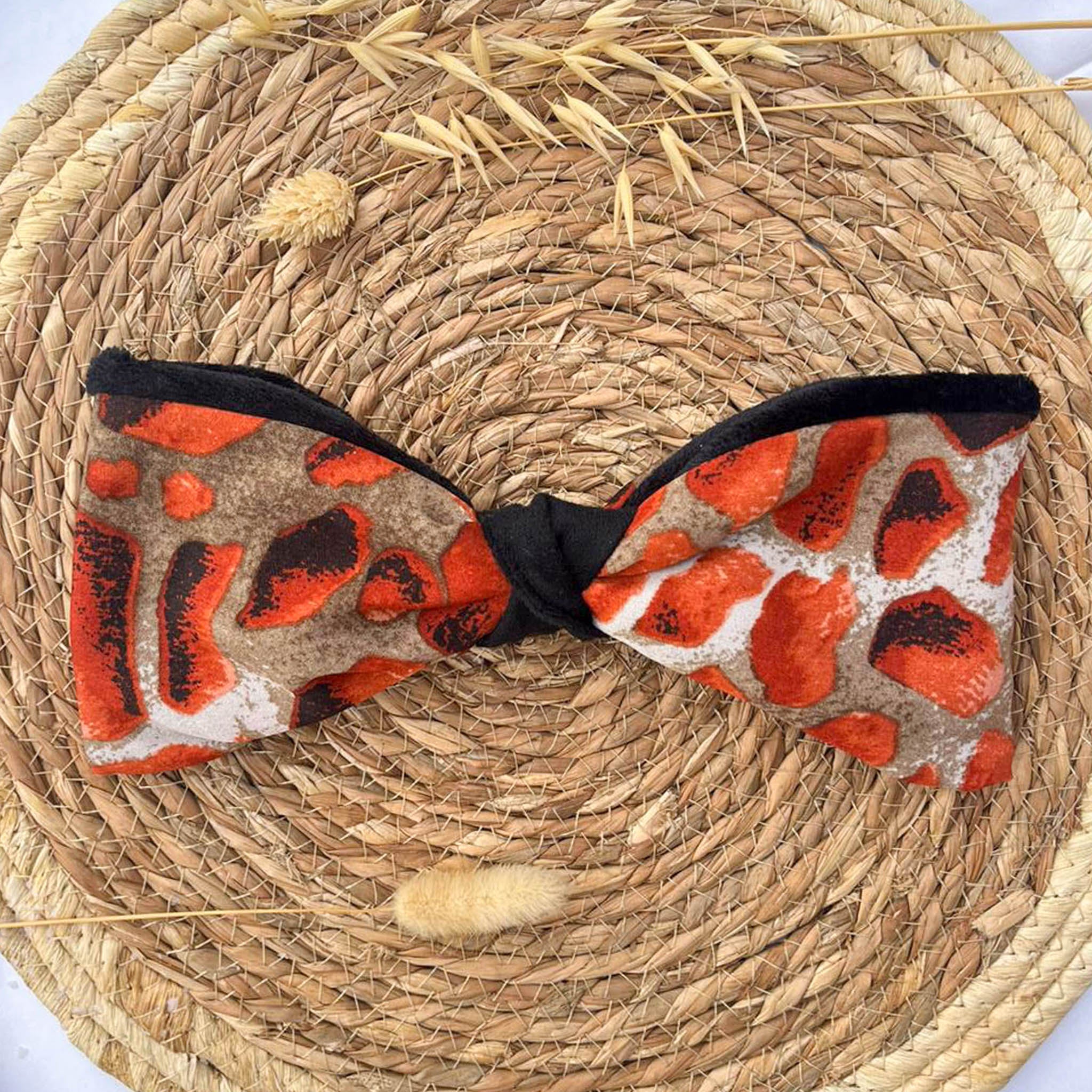 Bandeau polaire Ammonite