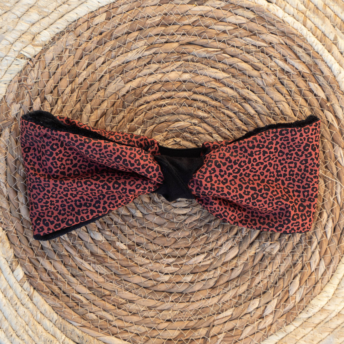 Bandeau polaire Septaria