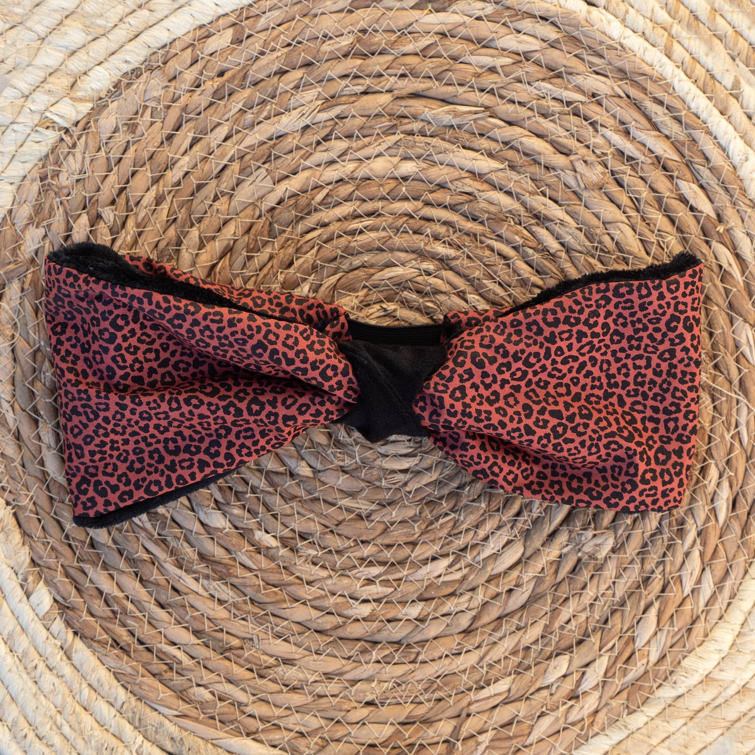 Bandeau polaire Septaria