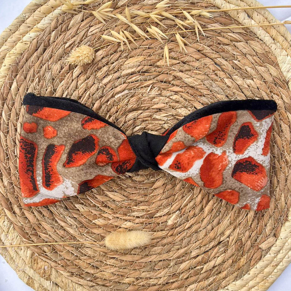 Bandeau polaire Ammonite